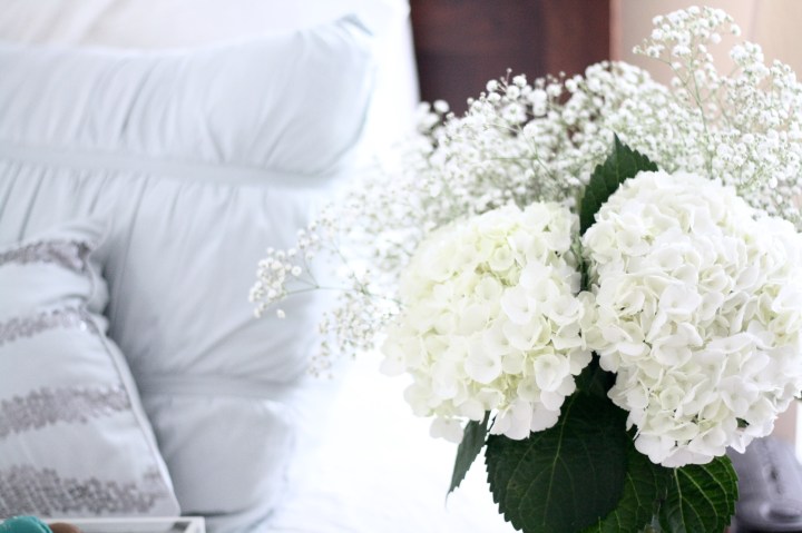 Favorite Pajamas & Lounge Wear