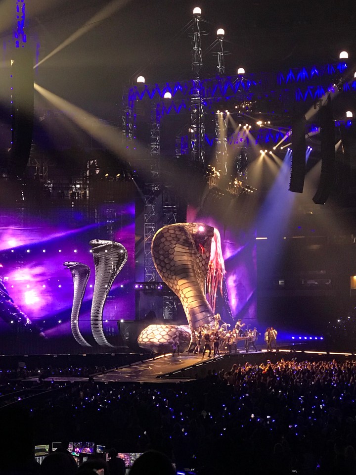 Taylor Swift reputation Tour