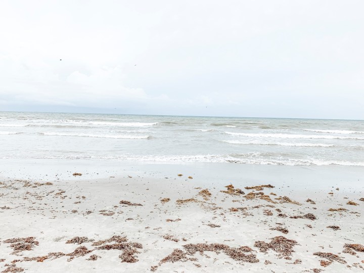 Galveston Travel Guide